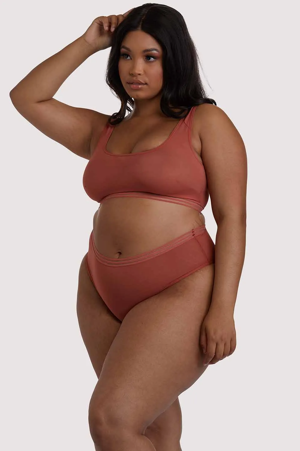 Chelsea Cinnamon Mesh Crop Top