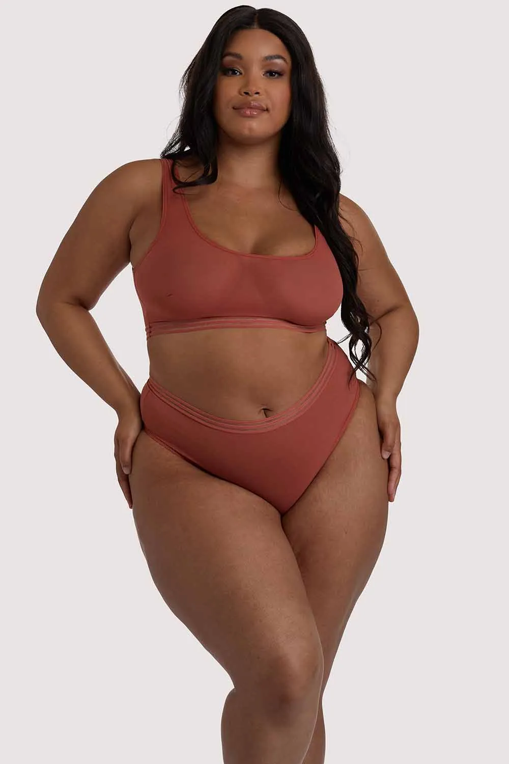 Chelsea Cinnamon Mesh Crop Top