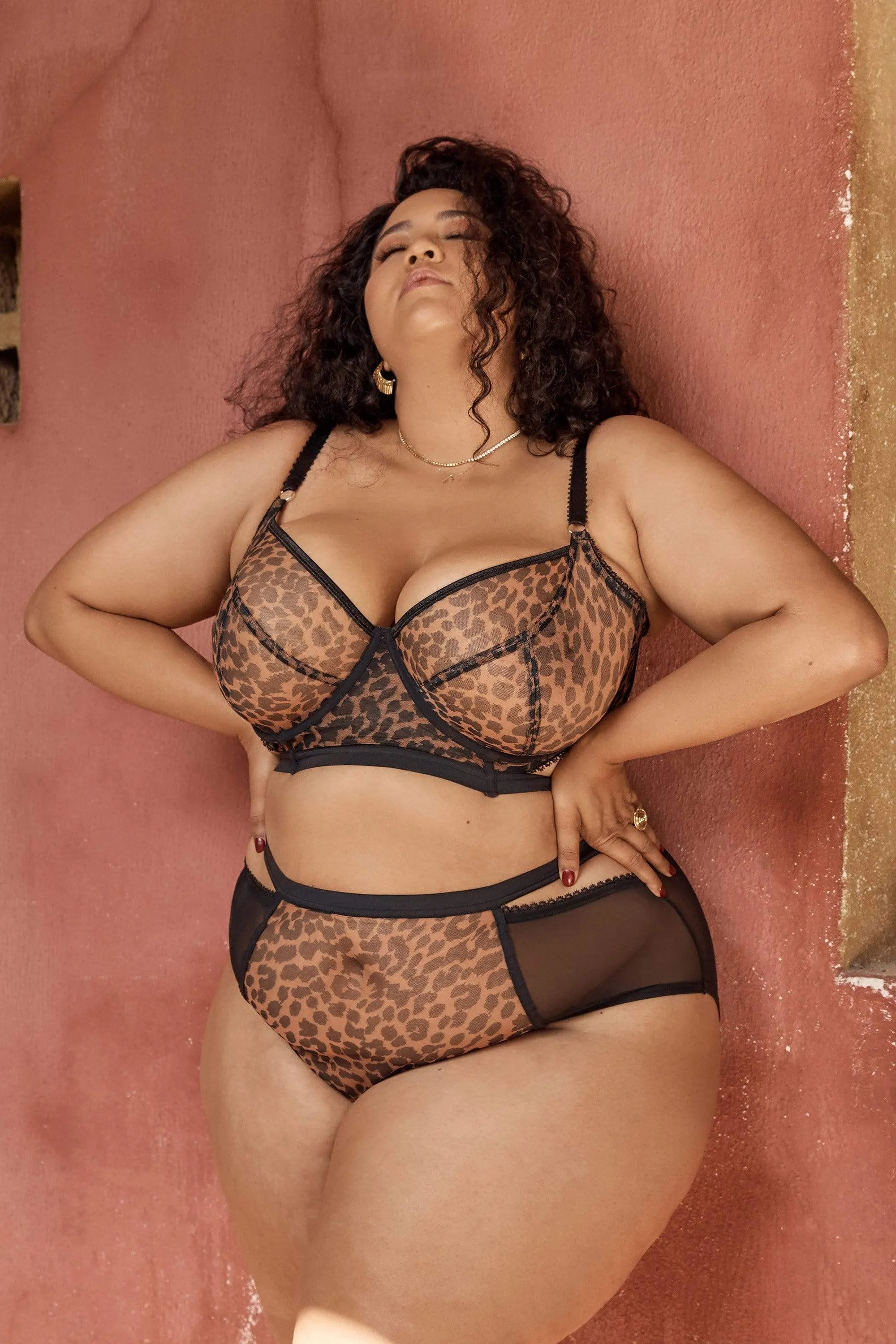 Gabi Fresh Alexis Leopard Print Mesh Cut Out Brief