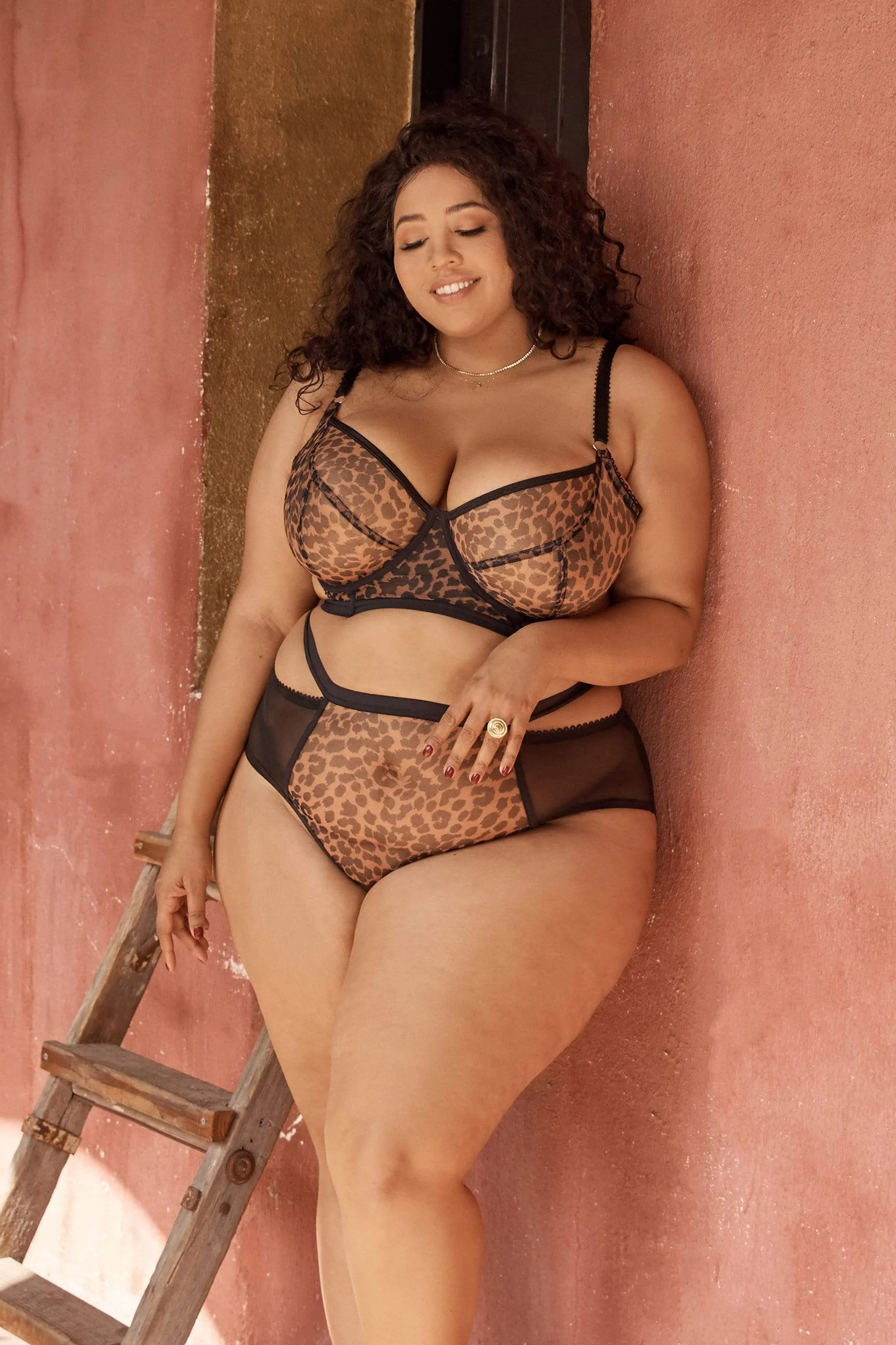 Gabi Fresh Alexis Leopard Print Mesh Cut Out Brief