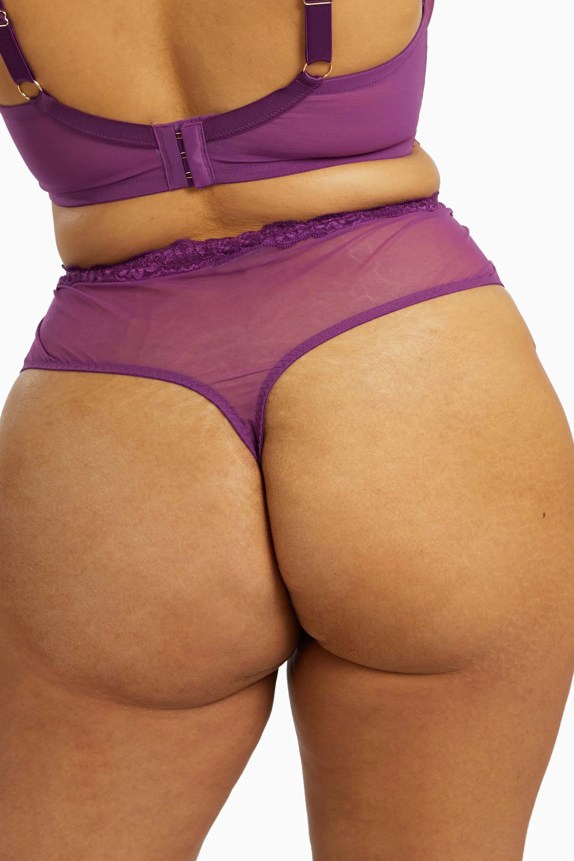 Gabi Fresh Aria Lace Panelled High Waist Brief